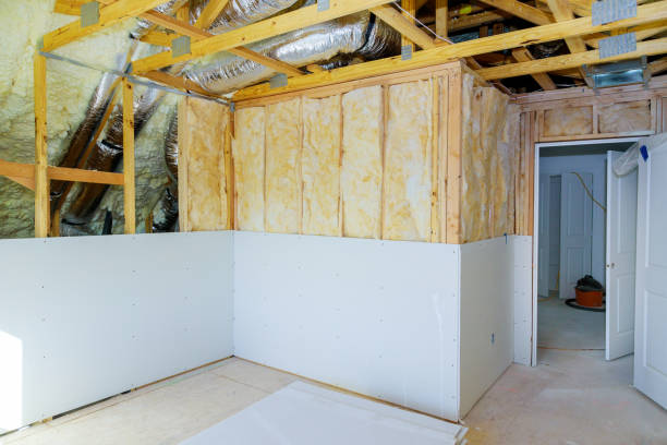 Best Insulation Repair Services  in Bloomville, OH