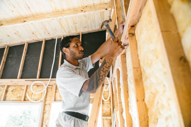 Best Best Insulation Companies  in Bloomville, OH