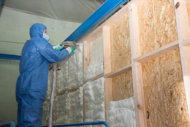 Professional Insulation Contractor in Bloomville, OH