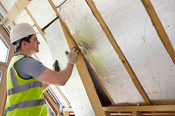 Best Local Insulation Services  in Bloomville, OH